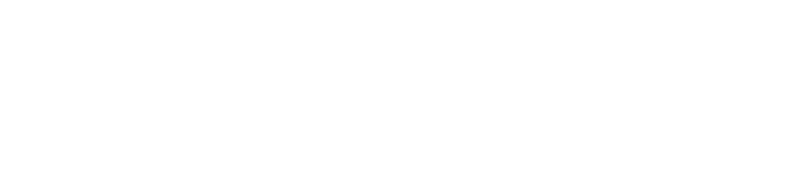 Ashvix